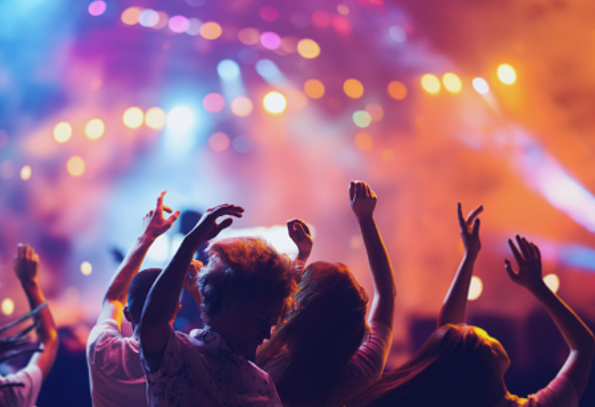 crowd of people enjoying the music at a concert