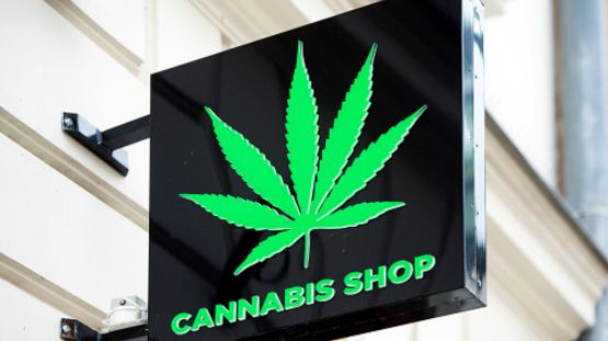 Cannabis facility security monitoring